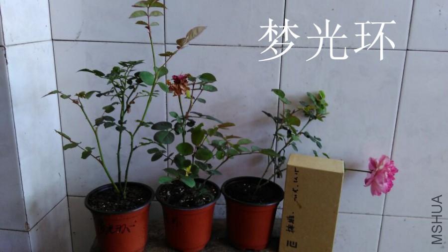 QQͼƬ20151021110142.jpg