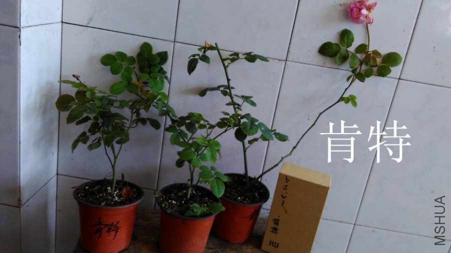 QQͼƬ20151021110146.jpg