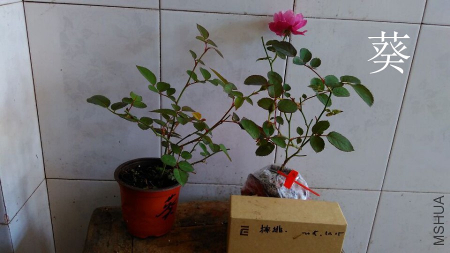 QQͼƬ20151021110149.jpg