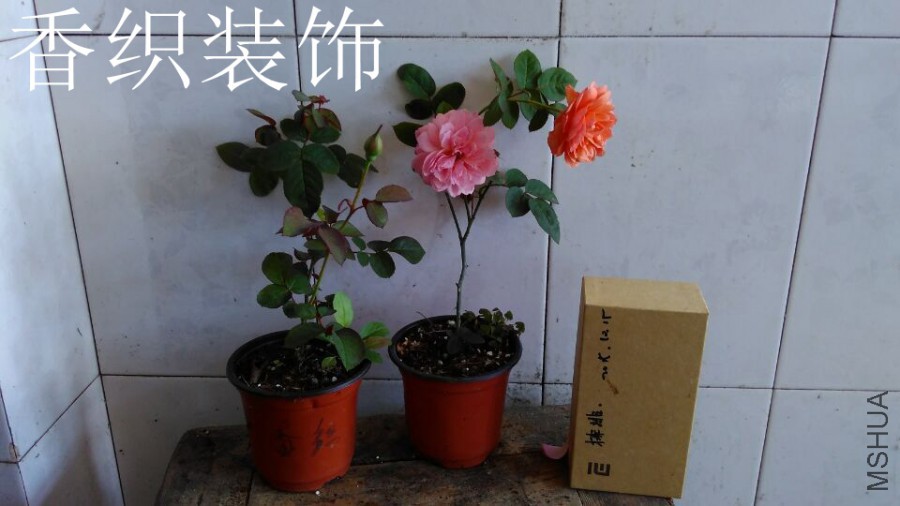 QQͼƬ20151021110152.jpg