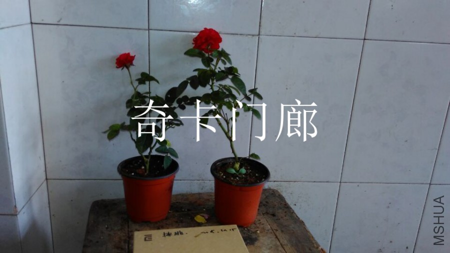 QQͼƬ20151021110155.jpg