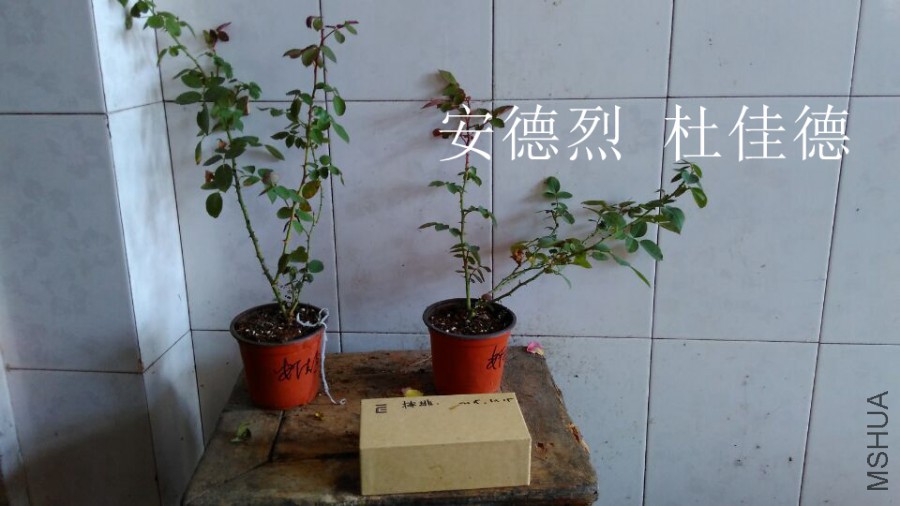 QQͼƬ20151021110158.jpg