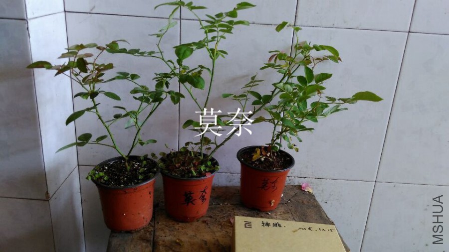 QQͼƬ20151021110201.jpg