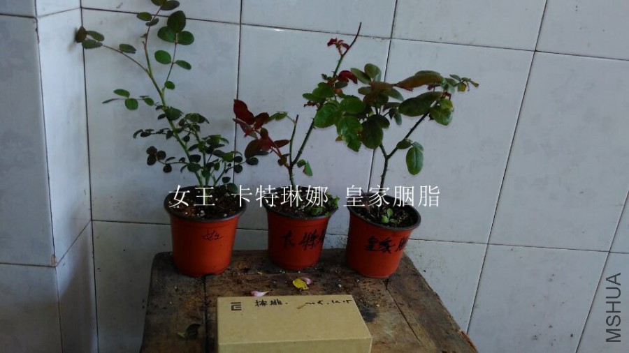 QQͼƬ20151021110205.jpg