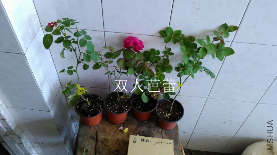 QQͼƬ20151021110208.jpg
