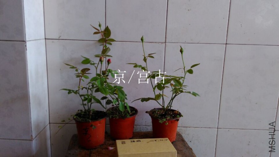 QQͼƬ20151021110216.jpg