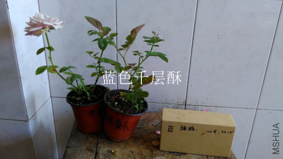 QQͼƬ20151021110219.jpg