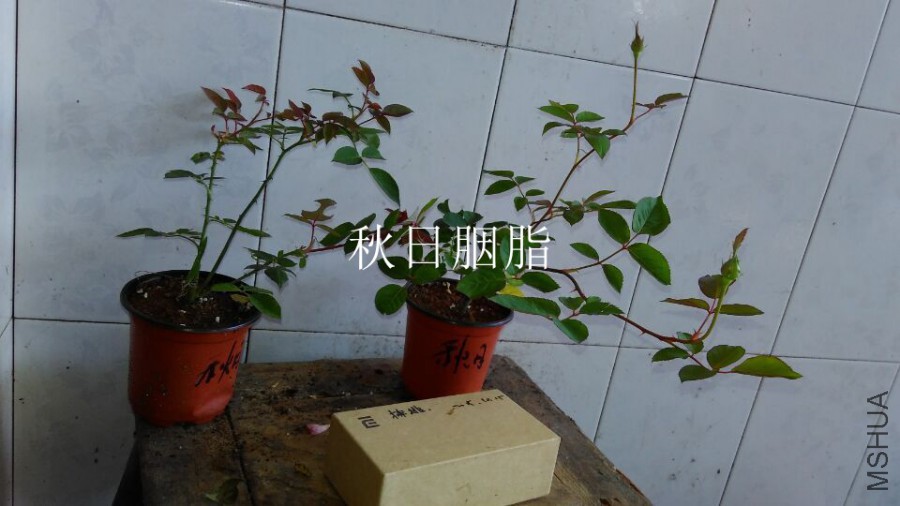 QQͼƬ20151021110225.jpg