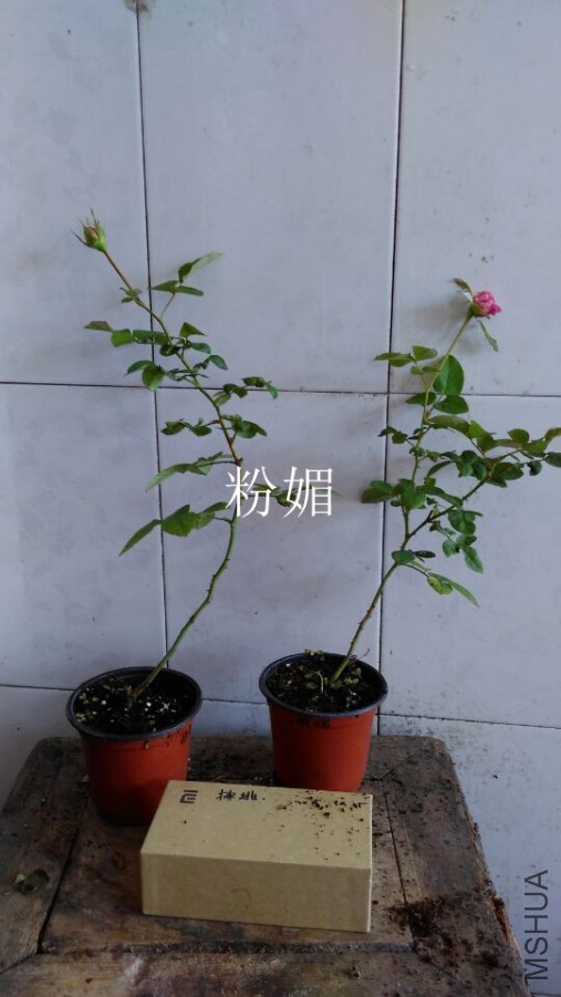 QQͼƬ20151021110232.jpg