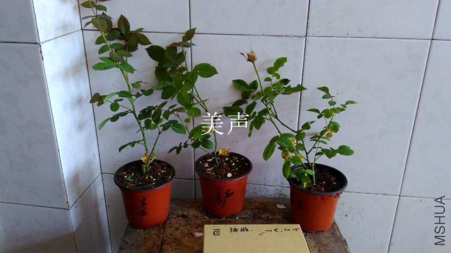QQͼƬ20151021110239.jpg