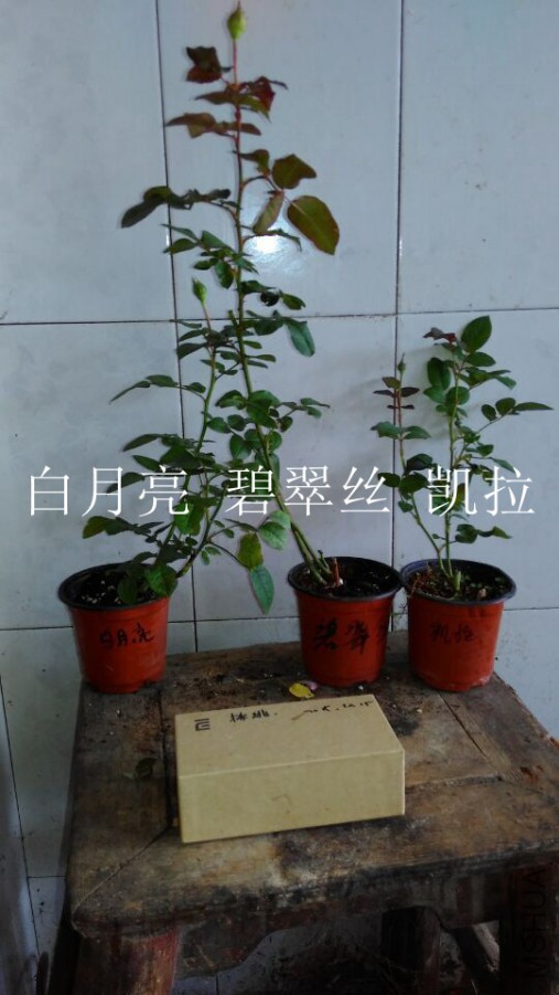 QQͼƬ20151021110242.jpg