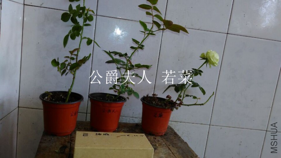 QQͼƬ20151021110246.jpg