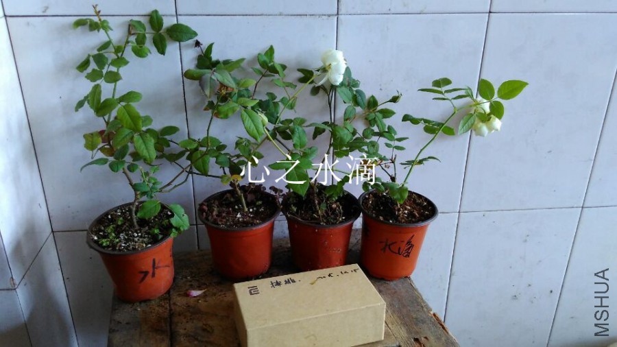 QQͼƬ20151021110249.jpg