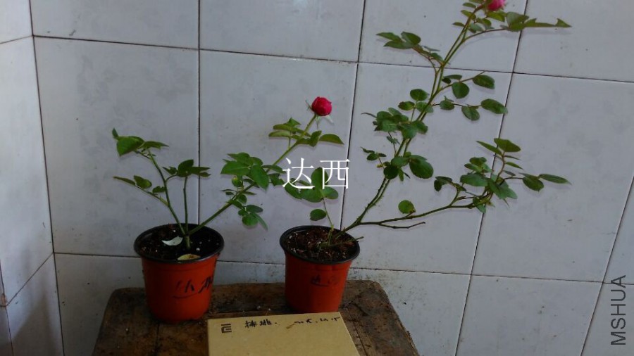 QQͼƬ20151021110253.jpg
