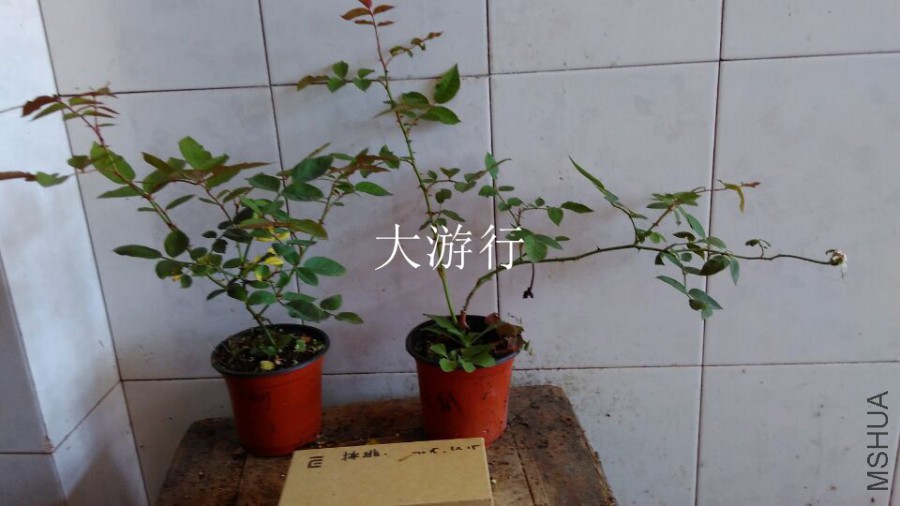 QQͼƬ20151021110259.jpg