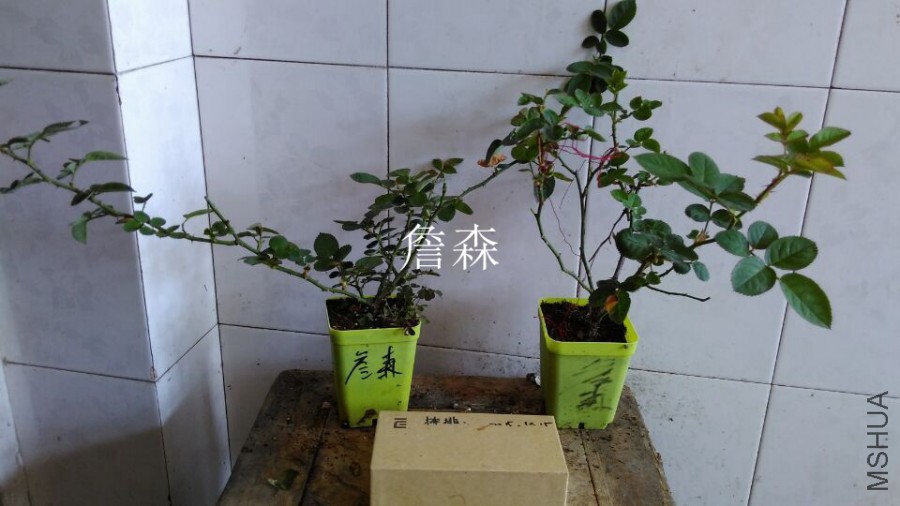 QQͼƬ20151021110256.jpg