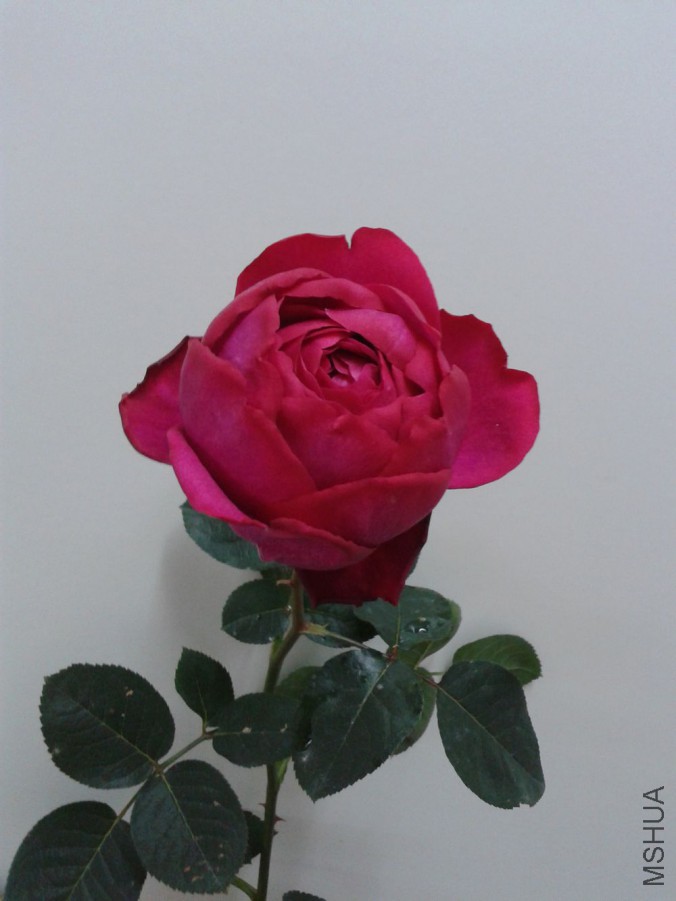 ��ܽ������￪��