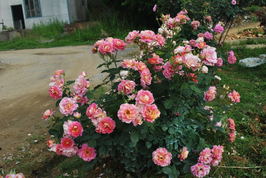 �������� �� (8).jpg