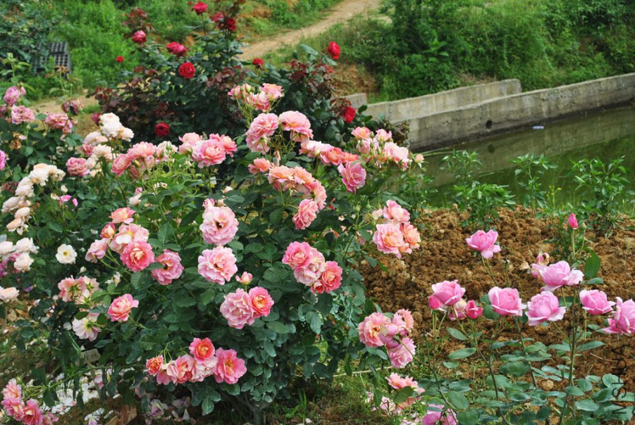 �������� �� (5).jpg