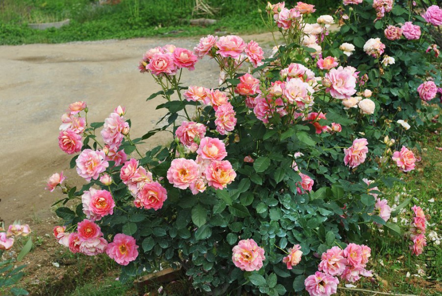 �������� �� (6).jpg