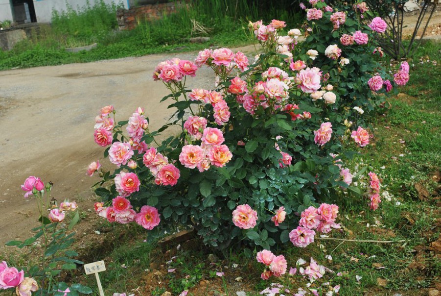 �������� �� (7).jpg