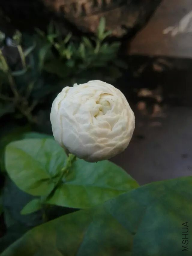 05.jpg