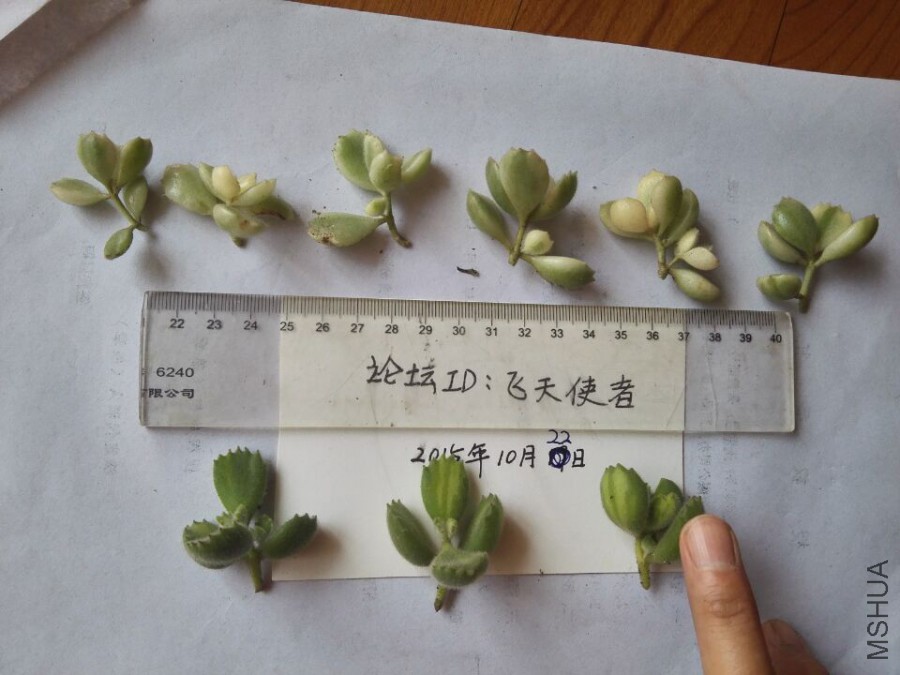QQͼƬ20151022111151.jpg
