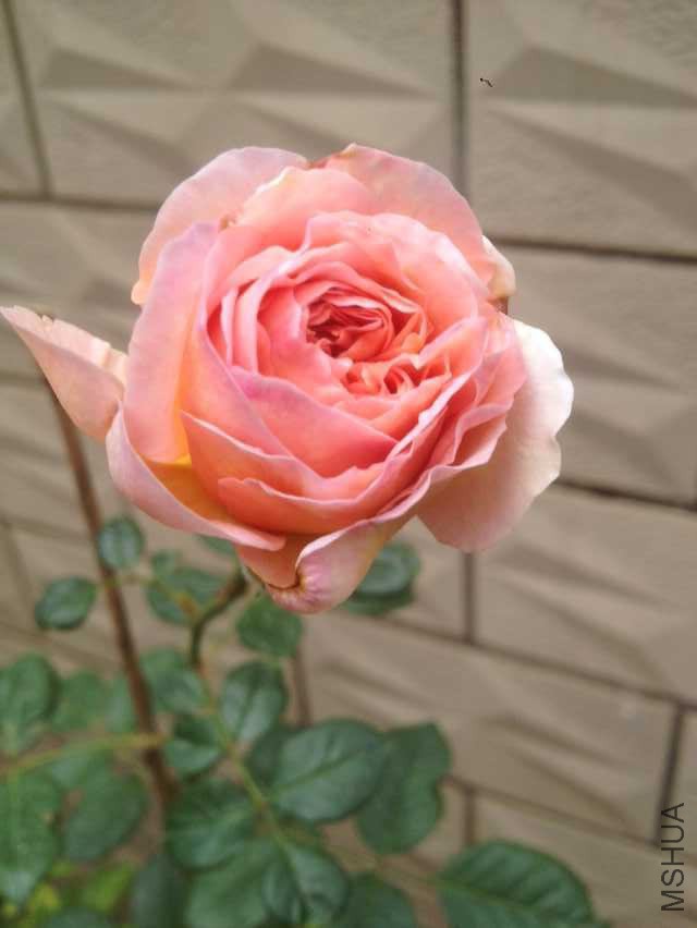 QQͼƬ20151022131604.jpg