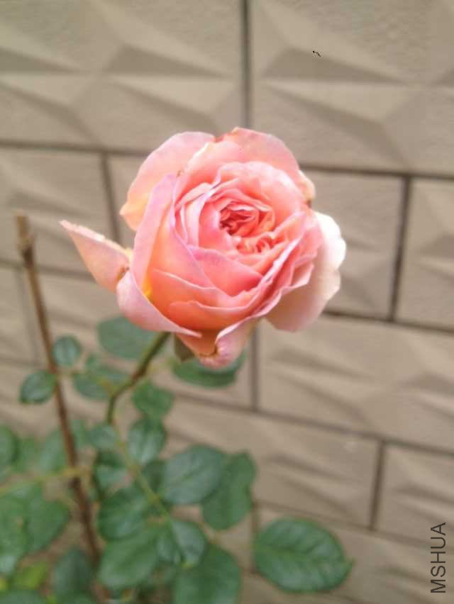 QQͼƬ20151022131611.jpg