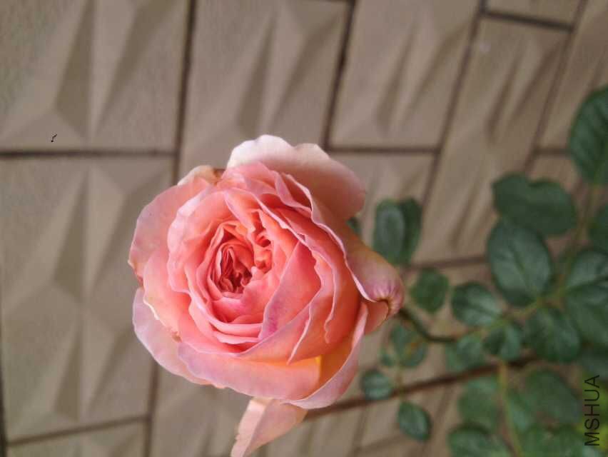 QQͼƬ20151022131615.jpg