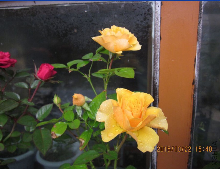 QQͼƬ20151022190351.jpg