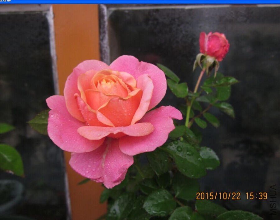 QQͼƬ20151022190359.jpg