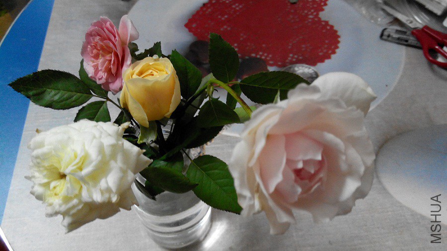 IMG_20151011_212658.jpg