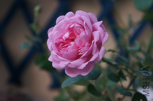 DSC01593.JPG