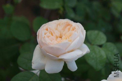 DSC01598.JPG
