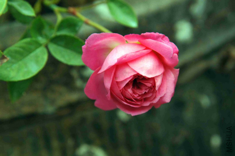 DSC_9120_����.jpg