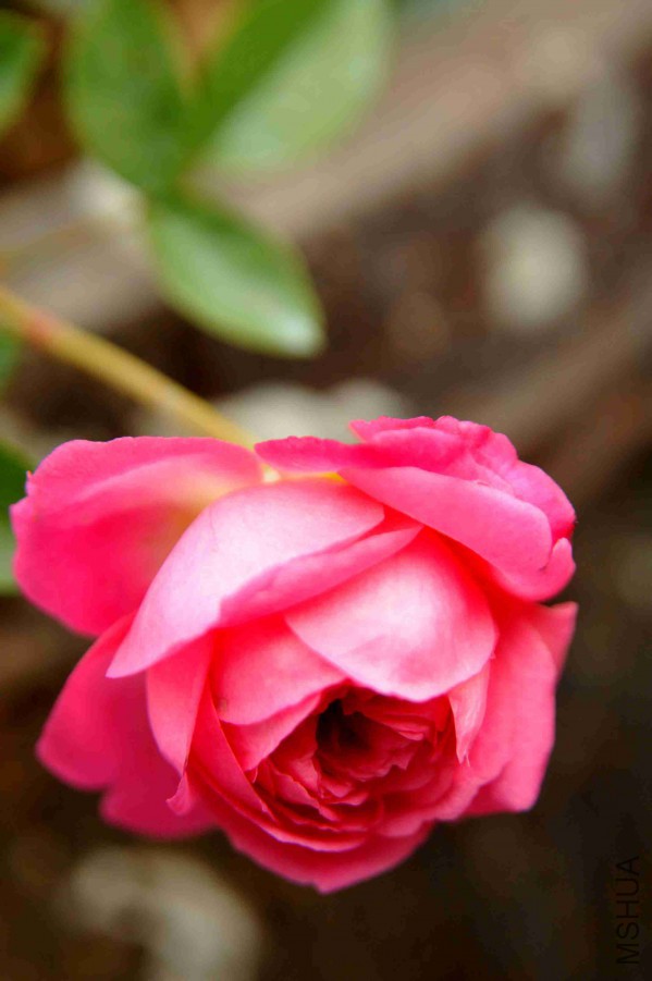 DSC_9127_����.jpg