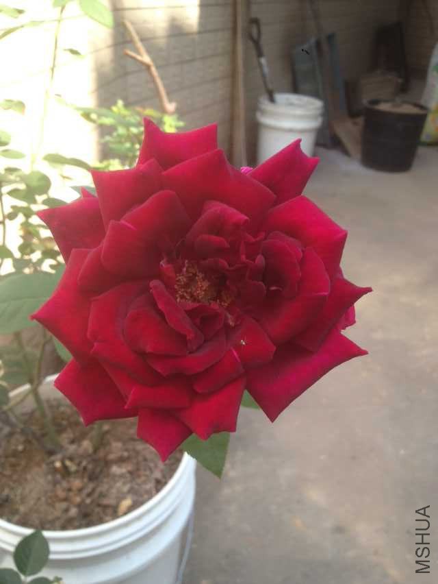 QQͼƬ20151023133024.jpg