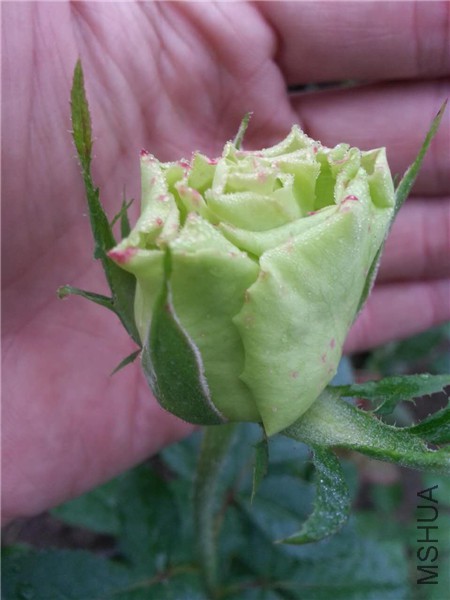 199797781622151004.jpg