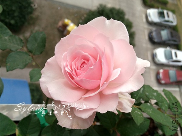 IMG_20151022_140144_HDR_����.jpg