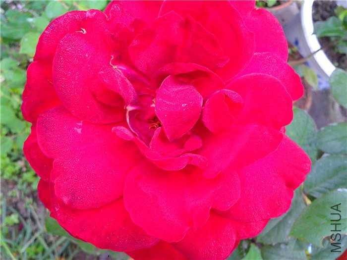 2015-10-24 07.16.08.jpg