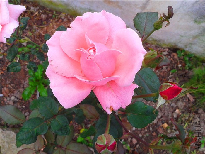 2015-10-24 07.16.49.jpg