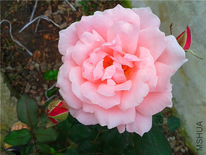 2015-10-24 07.16.57.jpg