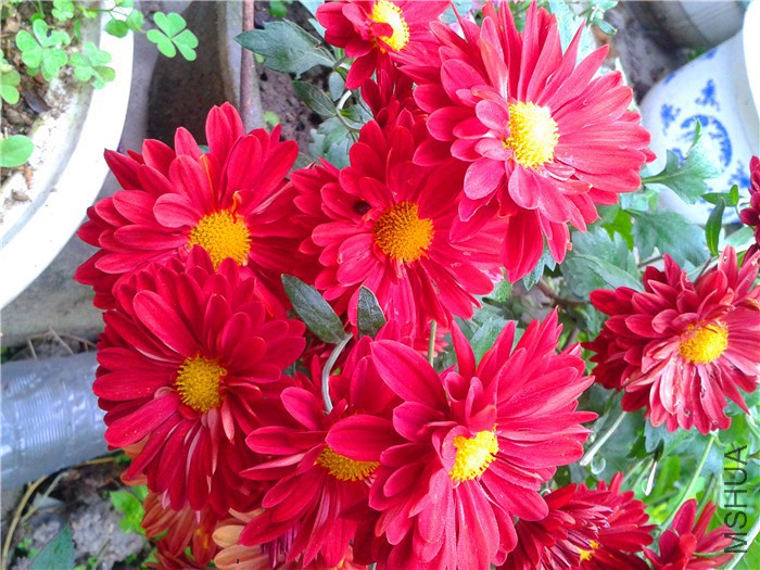 2015-10-24 07.17.29.jpg