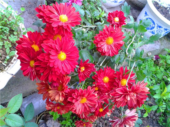 2015-10-24 07.17.46.jpg