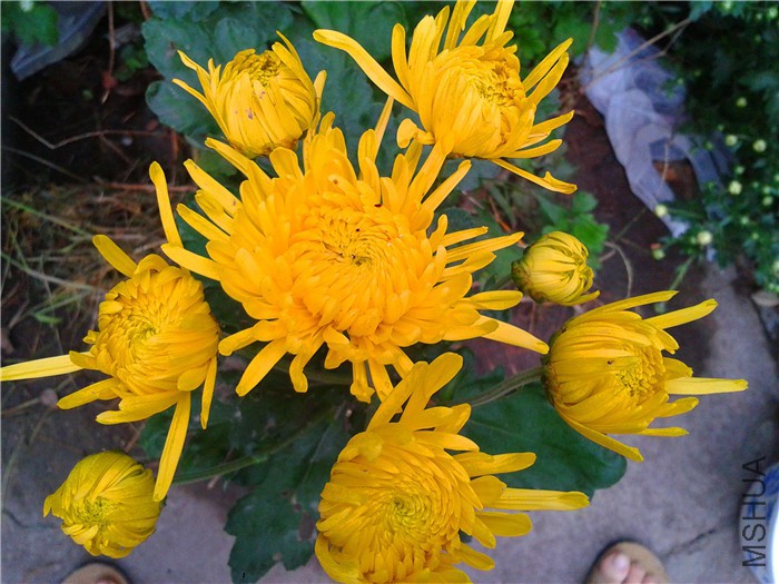 2015-10-24 07.18.32.jpg