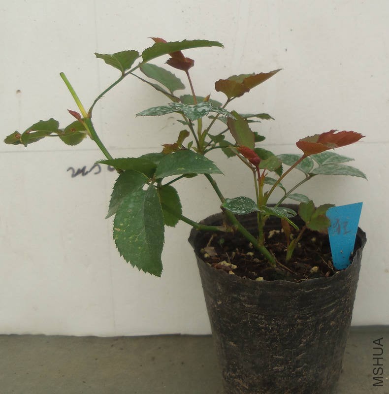 20151024_104807.jpg