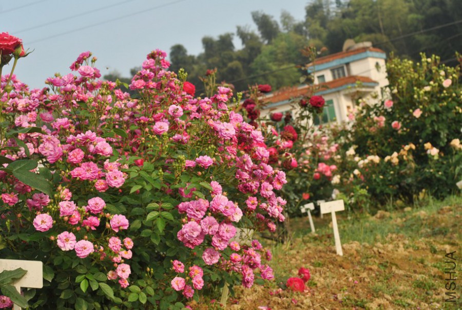 �������� (2).jpg