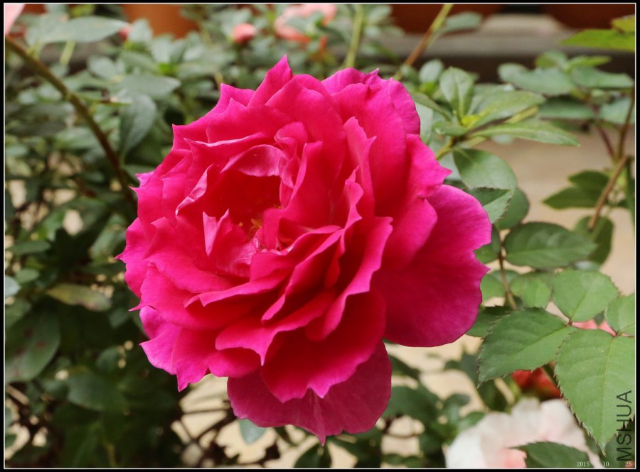 2015102505.jpg