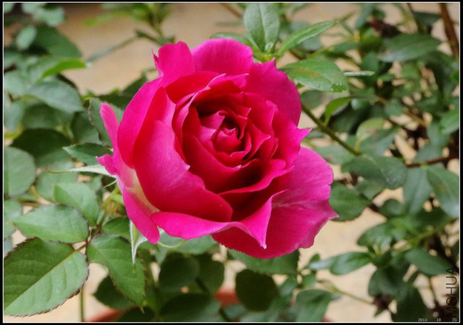 2015102502.jpg